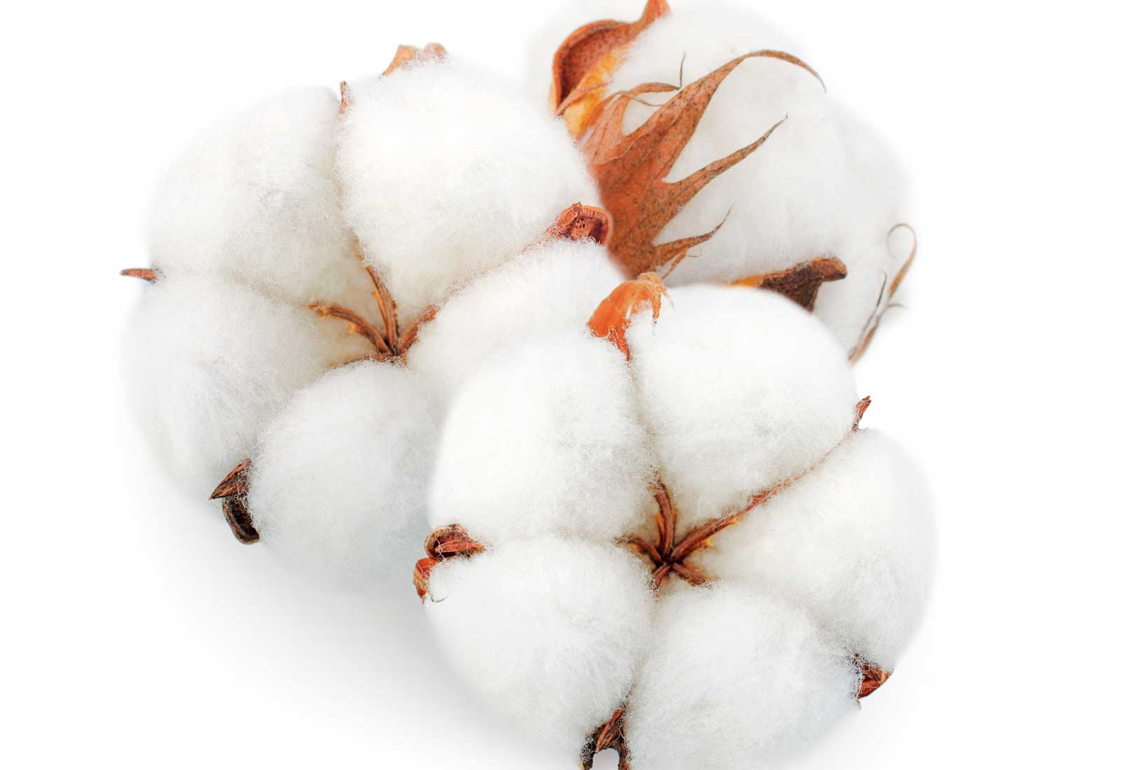 Tejido de algodón moderno -  España