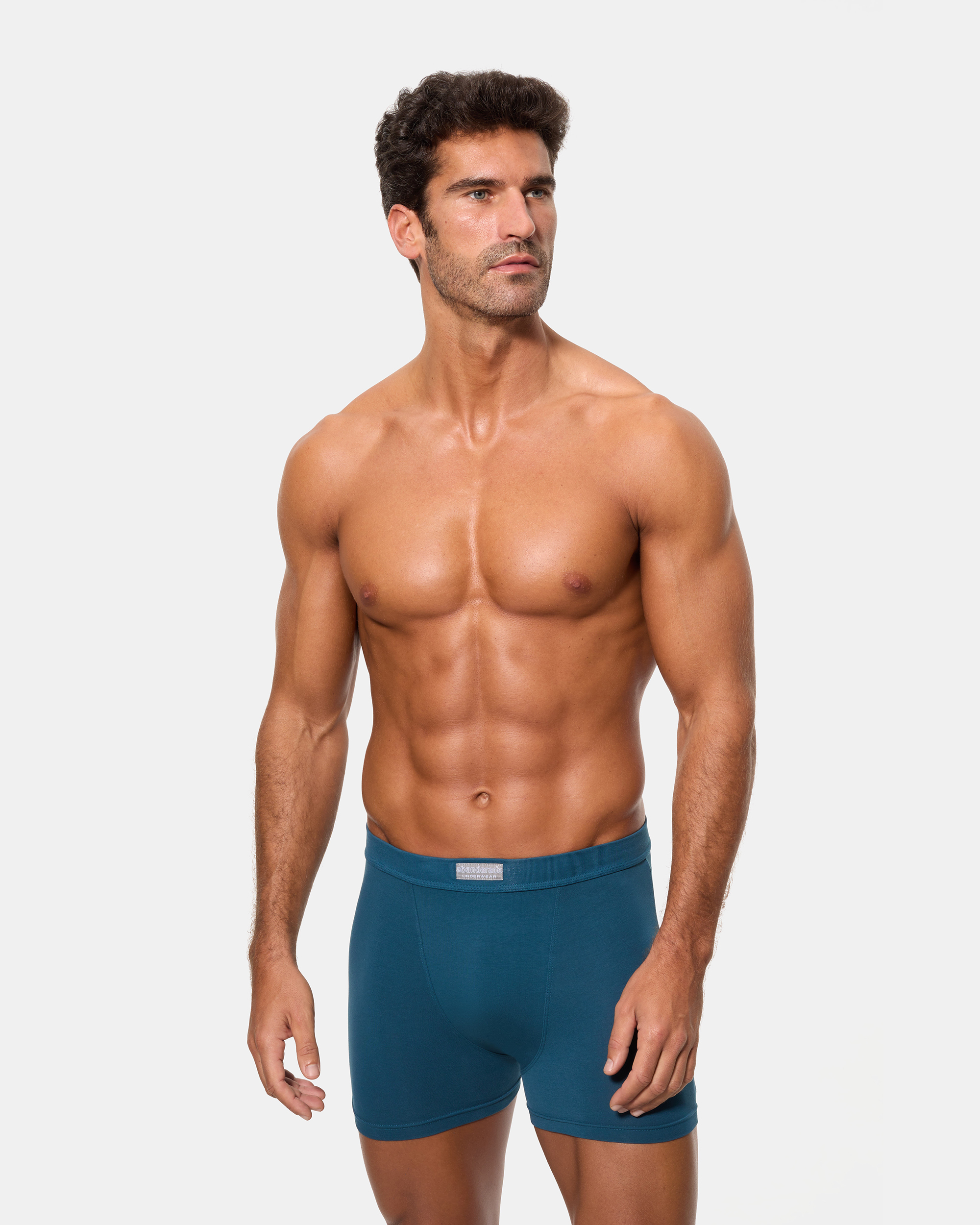 Abanderado boxer sale